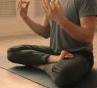 Uso en calma y recuperación, asociado a la energía celular